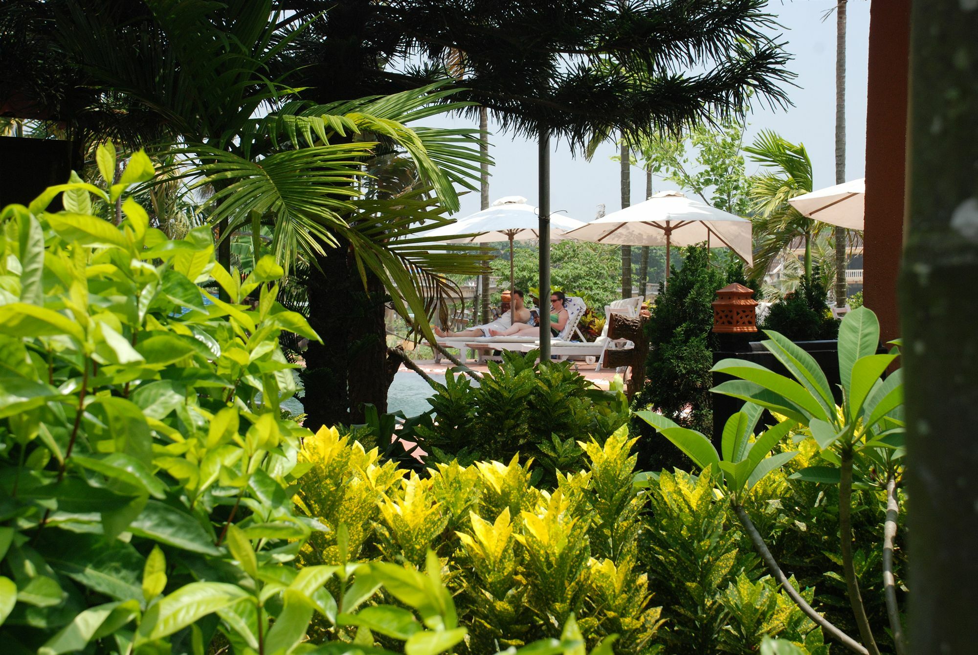 Pho Hoi Riverside Resort Hoi An Dış mekan fotoğraf